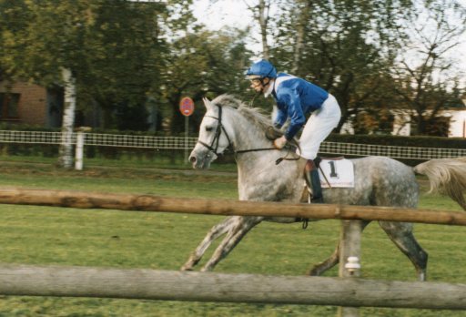 0017 El Thay Ibn Halim Shah (Racing)